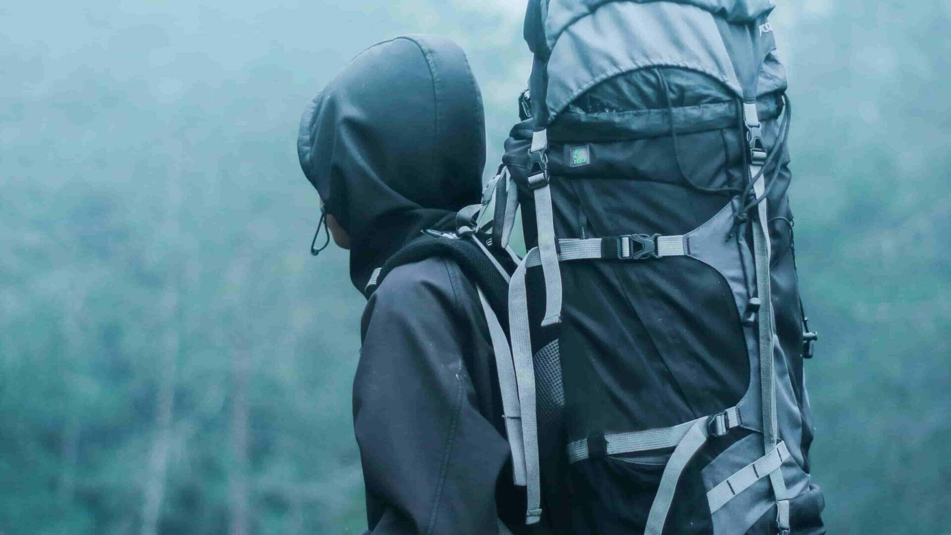 Can You Use A Regular Backpack For Hiking?